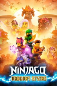 مسلسل LEGO Ninjago: Dragons Rising الموسم 1