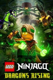 مسلسل LEGO Ninjago: Dragons Rising الموسم 4